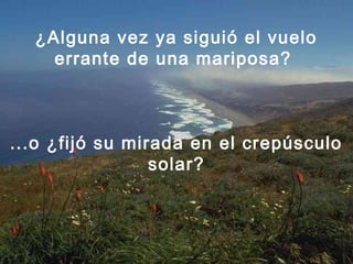 ¿Alguna vez ya siguió el vuelo
errante de una mariposa?
...o ¿fijó su mirada en el crepúsculo
solar?
 