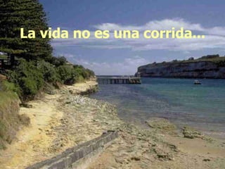 La vida no es una corrida... 