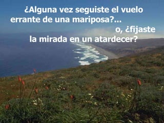 ¿Alguna vez seguiste el vuelo errante de una mariposa?...  o, ¿fijaste la mirada en un atardecer? 