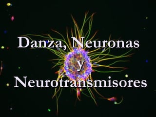 Danza, Neuronas  y Neurotransmisores  