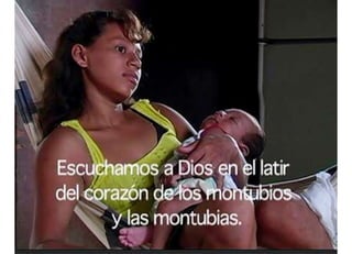 Danzas baba-una historia viva