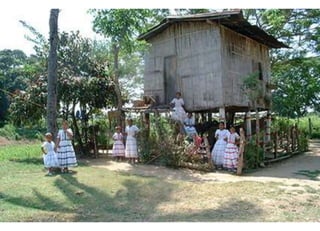 Danzas baba-una historia viva