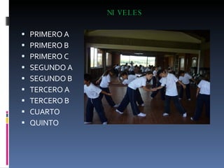 NIVELES PRIMERO A PRIMERO B PRIMERO C SEGUNDO A SEGUNDO B TERCERO A TERCERO B  CUARTO QUINTO  