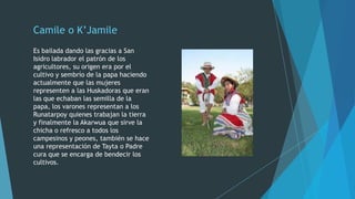 Camile o K’Jamile
Es bailada dando las gracias a San
Isidro labrador el patrón de los
agricultores, su origen era por el
cultivo y sembrío de la papa haciendo
actualmente que las mujeres
representen a las Huskadoras que eran
las que echaban las semilla de la
papa, los varones representan a los
Runatarpoy quienes trabajan la tierra
y finalmente la Akarwua que sirve la
chicha o refresco a todos los
campesinos y peones, también se hace
una representación de Tayta o Padre
cura que se encarga de bendecir los
cultivos.

 