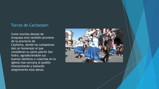 Turcos de Cacharpari
Como muchas danzas de
Arequipa esta también proviene
de la provincia de
Caylloma, donde los campesinos
dan un homenaje al que
consideran su santo patrón San
Isidro, agradeciéndole sus
buenas siembras o cosechas en la
iglesia mas cercana al pueblo
interpretando y bailando
alegremente esta danza.

 