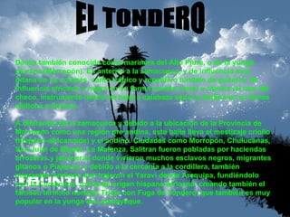 EL TONDERO Danza también conocida como marinera del Alto Piura, o de la yunga piurana (Morropón). Es anterior a la zamacueca, y de influencia muy gitana en su compás, canto trágico y repetitivo tundete de guitarra; de influencia africana o negra en su forma corísta (coro) e rítmica (el uso del checo, instrumento hecho en base a calabaza seca) y Andina en su forma chillona o llorona. A diferencia de la zamacueca y debido a la ubicación de la Provincia de Morropón como una región pre andina, este baile lleva el mestizaje criollo (hispano-africanoide) y el andino. Ciudades como Morropón, Chulucanas, San Juan de Bigote, La Matanza, Salitran fueron pobladas por haciendas arrozeras y jaboneras donde vivieron muchos esclavos negros, migrantes gitanos o Piajenos, y debido a la cercanía a la cordillera, también migrantes Andinos que trajeron el Yaraví desde Arequipa, fundiéndolo con la Cumanana, forma de origen hispano-africana; creando también el famoso término norteño Triste con Fuga de Tondero, que también es muy popular en la yunga de Lambayeque. 