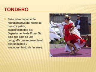 TONDERO
 Baile extremadamente
representativa del Norte de
nuestra patria,
específicamente del
Departamento de Piura. Se
dice que esta es una
corografía que representa el
apareamiento y
enamoramiento de las Aves.
 