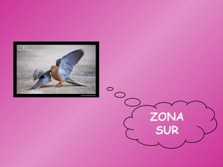 ZONA SUR 