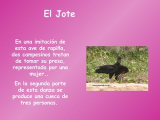 El Jote En una imitación de esta ave de rapiña, dos campesinos tratan de tomar su presa, representada por una mujer..  En la segunda parte de esta danza se produce una cueca de tres personas.  