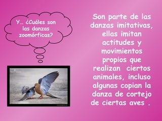 Y… ¿Cuáles son las danzas zoomórficas? Son parte de las danzas imitativas, ellas imitan actitudes y movimientos propios que realizan  ciertos animales, incluso algunas copian la danza de cortejo de ciertas aves .   