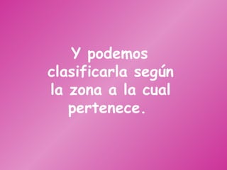 Y podemos clasificarla según la zona a la cual pertenece.  