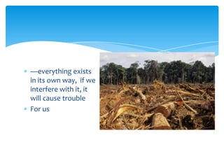 —everything exists
in its own way, if we
interfere with it, it
will cause trouble
For us
 