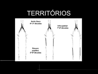 TERRITÓRIOS
TERRITÓRIOS
 