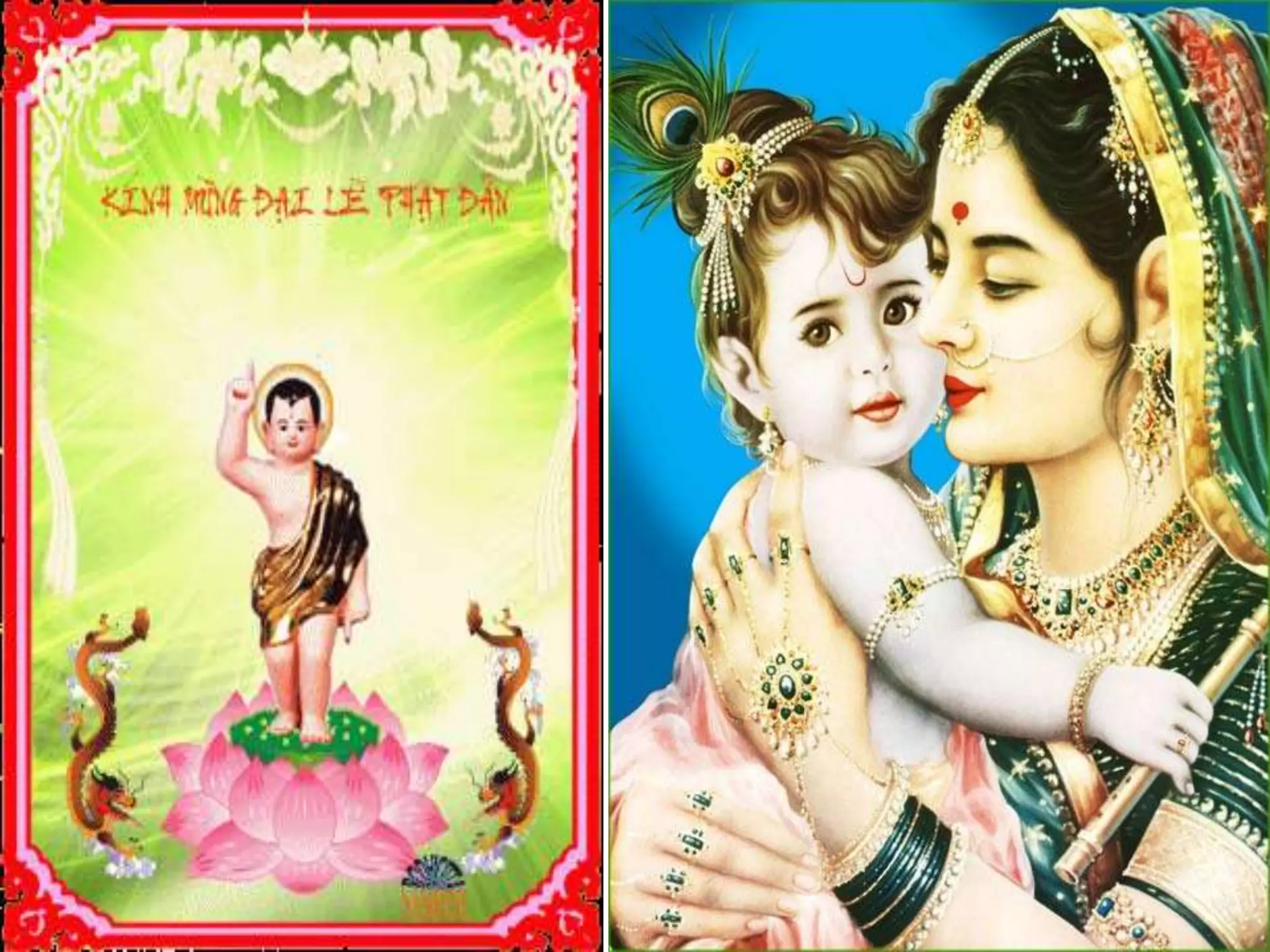 About MADE VIET CO.,LTD | CPHI Online, image size:2048x1536