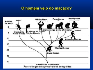Da origem do homem aos primeiros estados | PPT