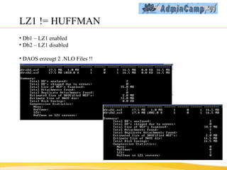 LZ1 != HUFFMAN Db1 – LZ1 enabled Db2 – LZ1 disabled DAOS erzeugt 2 .NLO Files !! 