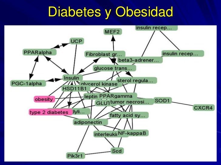 Daños cronicos por diabetes: mecanismos de acción Daños cronicos por diabetes: mecanismos de acción