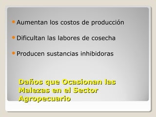 Daños que Ocasionan lasDaños que Ocasionan las
Malezas en el SectorMalezas en el Sector
AgropecuarioAgropecuario
Aumentan los costos de producción
Dificultan las labores de cosecha
Producen sustancias inhibidoras
 
