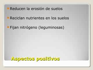 Aspectos positivosAspectos positivos
Reducen la erosión de suelos
Reciclan nutrientes en los suelos
Fijan nitrógeno (leguminosas)
 