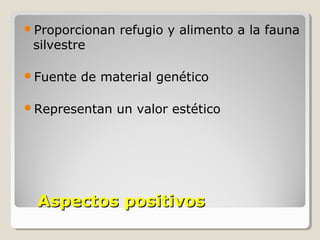 Aspectos positivosAspectos positivos
Proporcionan refugio y alimento a la fauna
silvestre
Fuente de material genético
Representan un valor estético
 