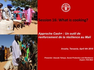 Session 16: What is cooking?
Approche Cash+ : Un outil de
renforcement de la résilience au Mali
Arusha, Tanzania, April 4th 2019
Presenter: Daouda Yahaya, Social Protection and Résilience
Expert, FAO-Mali
 
