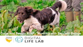 Dogs and People (DAP): Working with Sentient Beings
 
