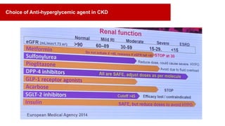 Choice of Anti-hyperglycemic agent in CKD
 