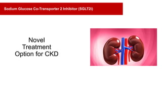Novel
Treatment
Option for CKD
Sodium Glucose Co-Transporter 2 Inhibitor (SGLT2i)
 