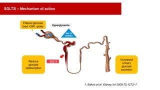 1. Bakris et al. Kidney Int 2009;75;1272–7.
SGLT2
inhibitor
Filtered glucose
load >240 g/day
Reduce
glucose
reabsorption
SGLT1
Increased
urinary
glucose
excretion
Hyperglycemia
SGLT2i – Mechanism of action
 