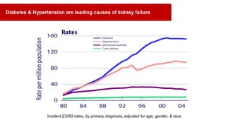 USRDS ADR, 2007
Incident ESRD rates, by primary diagnosis, adjusted for age, gender, & race.
Diabetes & Hypertension are leading causes of kidney failure
 
