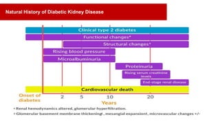 Natural History of Diabetic Kidney Disease
 