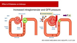 Increased intraglomerular and GFR pressure
REV ASSOC MED BRAS 2020; 66(SUPPL 1):S17-S24
Effect of Diabetes on kidneys
 