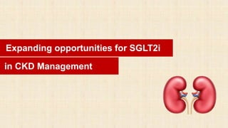 Expanding opportunities for SGLT2i
in CKD Management
 