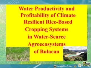 Water Productivity and
Profitability of Climate
Resilient Rice-Based
Cropping Systems
in Water-Scarce
Agroecosystems
of Bulacan
 