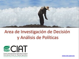 Area de Investigación de Decisión
      y Análisis de Políticas


                            www.ciat.cgiar.org
 