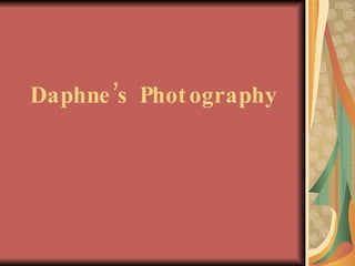Daphne’s Photography 