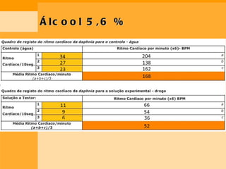 Álcool 5,6 % 