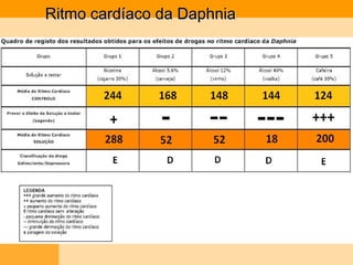 Ritmo cardíaco da Daphnia  