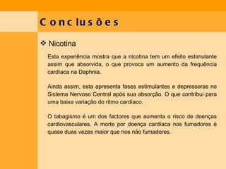 Conclusões Nicotina Esta experiência mostra que a nicotina tem um efeito estimulante assim que absorvida, o que provoca um aumento da frequência cardíaca na Daphnia.  Ainda assim, esta apresenta fases estimulantes e depressoras no Sistema Nervoso Central após sua absorção. O que contribui para uma baixa variação do ritmo cardíaco. O tabagismo é um dos factores que aumenta o risco de doenças cardiovasculares. A morte por doença cardíaca nos fumadores é quase duas vezes maior que nos não fumadores.  