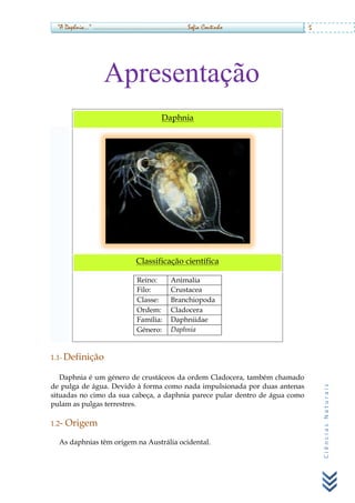 Daphnia