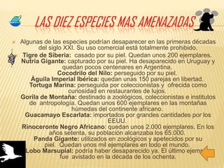 Las diez especies mas amenazadasAlgunas de las especies podrían desaparecer en las primeras décadas del siglo XXI. Su uso comercial está totalmente prohibido.Tigre de Siberia:  casado por su piel. Quedan unos 200 ejemplares. Nutria Gigante: capturado por su piel. Ha desaparecido en Uruguay y quedan pocos centenares en Argentina. Cocodrilo del Nilo: perseguido por su piel. Águila Imperial Ibérica: quedan unas 150 parejas en libertad. Tortuga Marina: perseguida por coleccionistas y  ofrecida como curiosidad en restaurantes de lujos. Gorila de Montaña: destinado a zoológicos, coleccionistas e institutos de  antropología. Quedan unos 600 ejemplares en las montañas húmedas del continente africano. Guacamayo Escarlata: importados por grandes cantidades por los EEUU. Rinoceronte Negro Africano: quedan unos 2.000 ejemplares. En los años setenta, su población alcanzaba los 65.000. Panda Gigante: utilizados en zoológicos y apetecidos por su piel.  Quedan unos mil ejemplares en todo el mundo. Lobo Marsupial: podría haber desaparecido ya. El último ejemplar fue  avistado en la década de los ochenta.