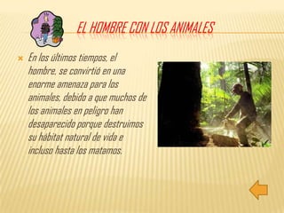 El hombre con los animalesEn los últimos tiempos, el hombre, se convirtió en una enorme amenaza para los animales, debido a que muchos de los animales en peligro han desaparecido porque destruimos su hábitat natural de vida e incluso hasta los matamos.