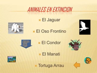 Animales en extincionEl JaguarEl Oso FrontinoEl CondorEl ManatiTortuga Arrau