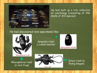 He had built up a rich collection
of conchology (consisting of 346
shells of 203 species)
He had discovered rare specimens like:
Rhacophorus rizali
(a rare frog)
Draco rizali (a
flying dragon)
Apogonia rizali
( a small beetle)
 