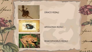 DAPITAN EXILE HISTORY TRAVEL DADADADADADA | PPTX
