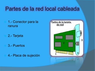 Tarjetas de red inalámbrica Es una tarjeta para expansión de capacidades que sirve para enviar y recibir datos sin la necesidad de cables en las redes inalámbricas de área local.