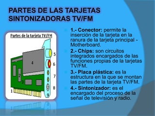 5.- Conector BNC: permite recibir la señal del cable coaxial (antena ó TV de paga).6.- Conector RCA: recibe la señal de un dispositivo externo como un reproductor DVD, una videocámara, etc.7.- Jack 3.5": transmiten la señal de audio para bocinas.8.- Conector S-Video: se utiliza para pantallas y sistemas de video de alta definición (pantallas de plasma, reproductores Blu-ray, etc.
