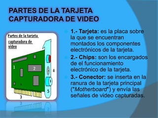 4.- Puertos: se encargan de recibir la señal externa (señal de televisión de paga, videocaseteras, videocámaras, etc.)5.- Soporte: se encarga de fijar la tarjeta al gabinete y evitar movimientos.