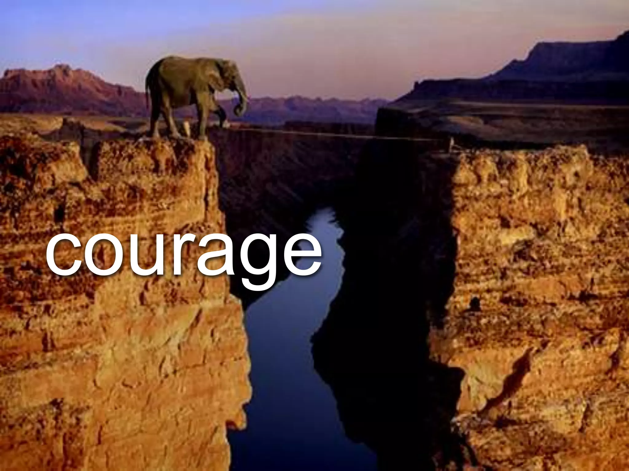 courage
 