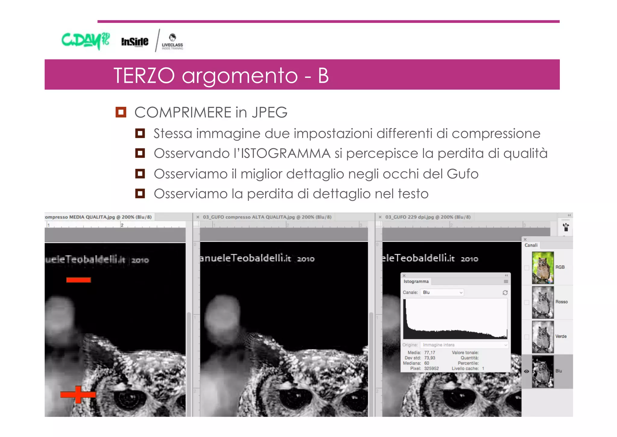 ¤  COMPRIMERE in JPEG
¤  Stessa immagine due impostazioni differenti di compressione
¤  Osservando l’ISTOGRAMMA si percepisce la perdita di qualità
¤  Osserviamo il miglior dettaglio negli occhi del Gufo
¤  Osserviamo la perdita di dettaglio nel testo
TERZO argomento - B
 